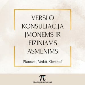 Verslo konsultacija